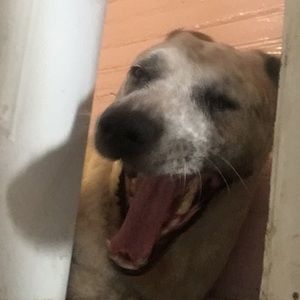 Meet your Posher, Zack